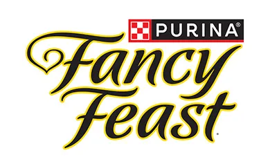 fancy