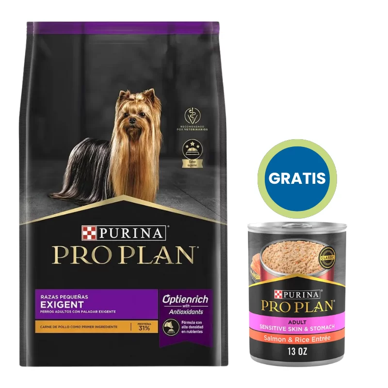 Pro plan Exigent + REGALOS