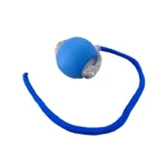 Pelota Didáctica 2