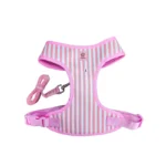 Mizpet Arnes Con Pechera + Correa Talla L