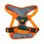 Pechera Premium Talla L - Imagen 2