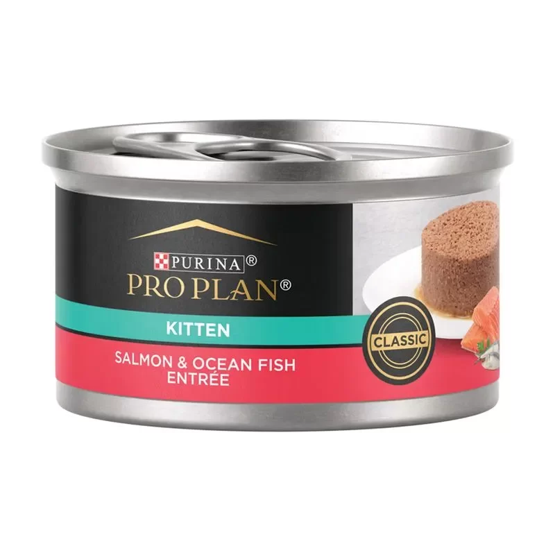 Pro Plan Cat Kitten Salmon y Ocean Lata 85 gr