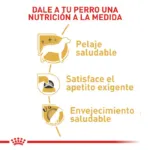 Royal Canin BHN Yorkshire Adult 3 kg - Imagen 3