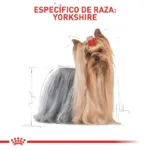 Royal Canin BHN Yorkshire Adult 3 kg - Imagen 4
