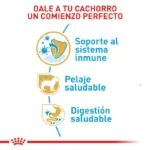 Royal Canin BHN Yorkshire Puppy 1.5 kg - Imagen 3