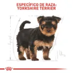 Royal Canin BHN Yorkshire Puppy 1.5 kg - Imagen 4