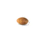 Royal Canin FBN Feline Adult Persian 4 kg croqueta