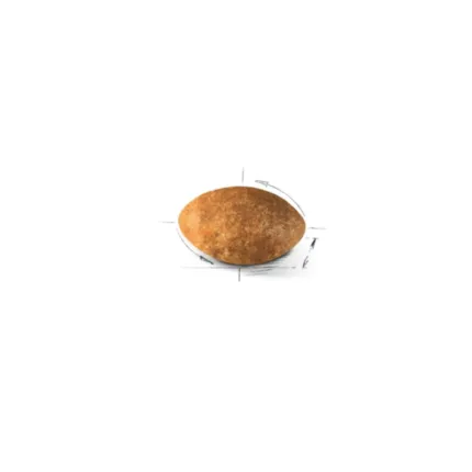 Royal Canin FBN Feline Adult Persian 4 kg croqueta