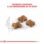 Royal Canin FHN Gato Kitten 2 kg croqueta