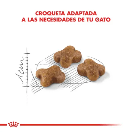 Royal Canin FHN Gato Kitten 2 kg croqueta