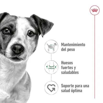 Royal Canin SHN Mini Adult 2 Kg