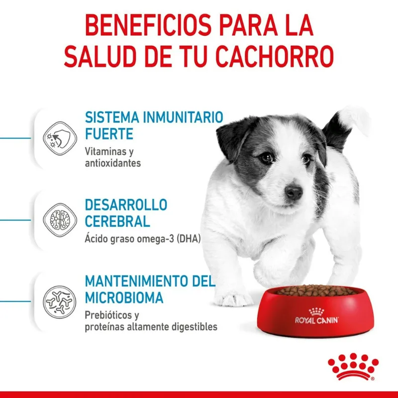 Dr. Clauders Cat Lata Best Selection #1 Pollo c Arandanos 200gr Royal Canin SHN Mini Puppy 2 Kg